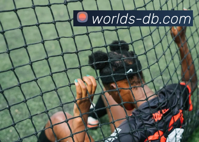 DB真人官网服务体系